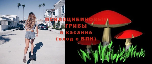 крисы Новый Уренгой