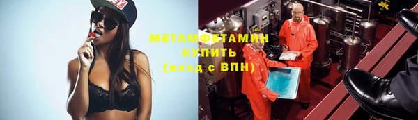 шишки Коряжма