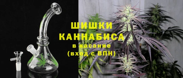 шишки Коряжма