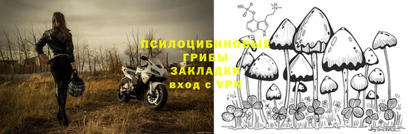 эйфоретик Медногорск