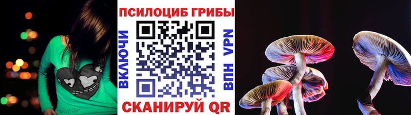 гидра вход  Чадан  Псилоцибиновые грибы Psilocybine cubensis 